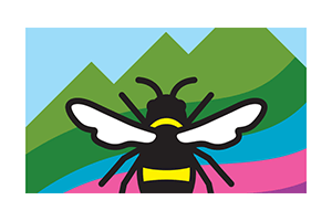 Boulder Bee Fest by Jeff and Paige